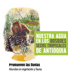 Nuestra agua en los bosques secos tropicales de Antioquia. Promueven las lluvias. Abundan en vegetación y fauna.