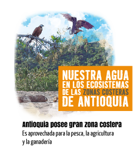 Nuestra agua en los ecosistemas de las zonas costeras de Antioquia. Antioquia posee gran zona costera. Es aprovechada para la pesca, la agricultura y la ganadería