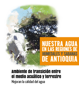 Nuestra agua en las regiones de humedales y sabanas de Antioquia. Ambiente de transición entre el medio acuático y terrestre. Mejoran la calidad del agua.