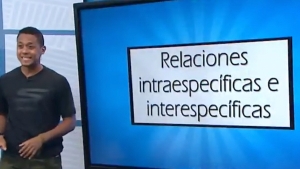 Relaciones intraespecíficas interespecíficas