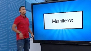 Mamíferos