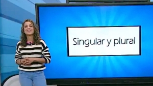 Singular y plural