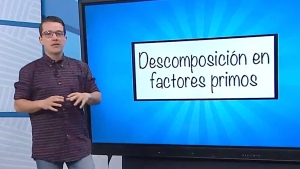 Descomposición de factores