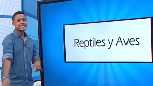 Los reptiles